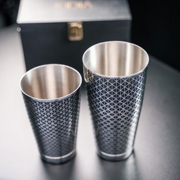 Boston Shaker Professionale Kidia