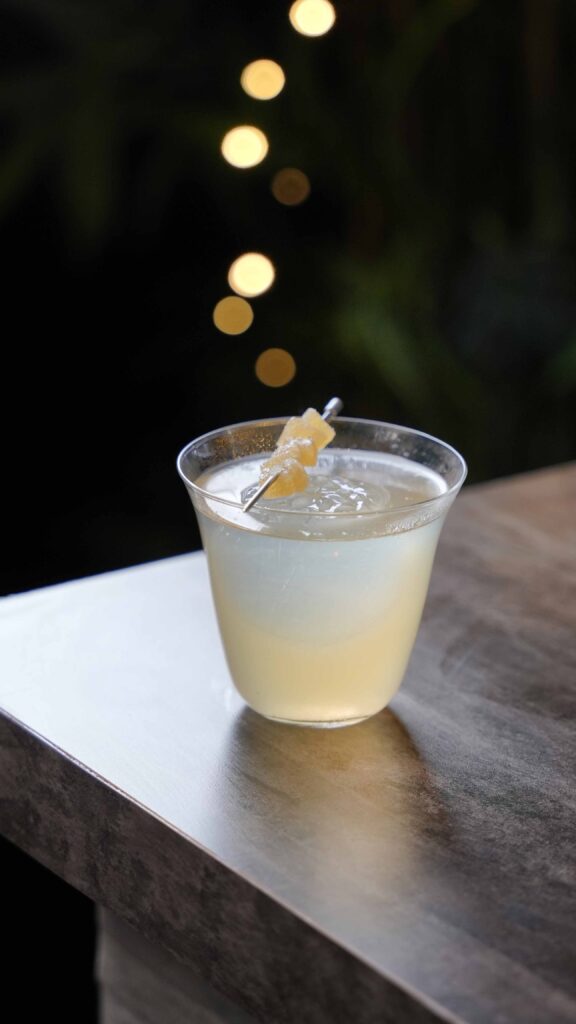 penicillin kidia