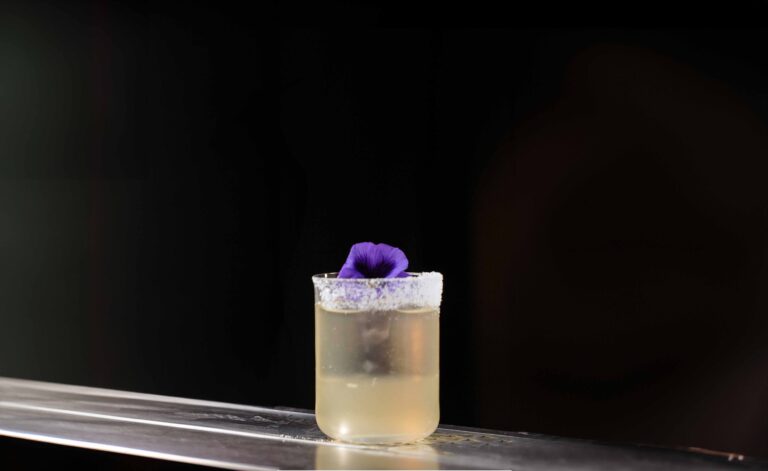 cocktail margarita paragon