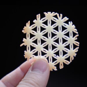 Tuille Kyoto Bloom 1