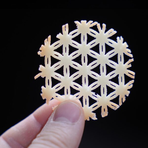 Tuille Kyoto Bloom 1